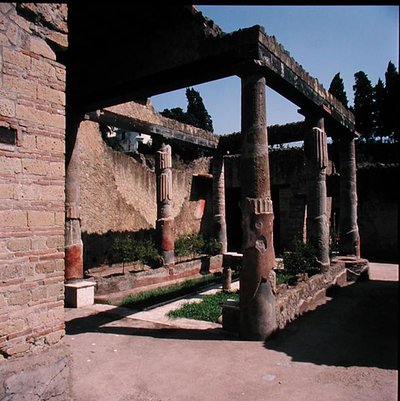 House of the Corinthian Atrium by Roman Roman